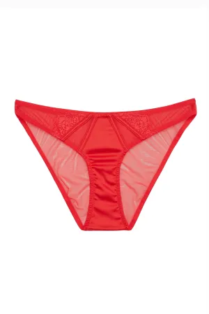 Zoya Brief